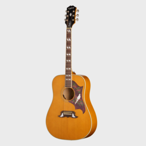 [Epiphone]에피폰 어쿠스틱 기타 Dove Studio
